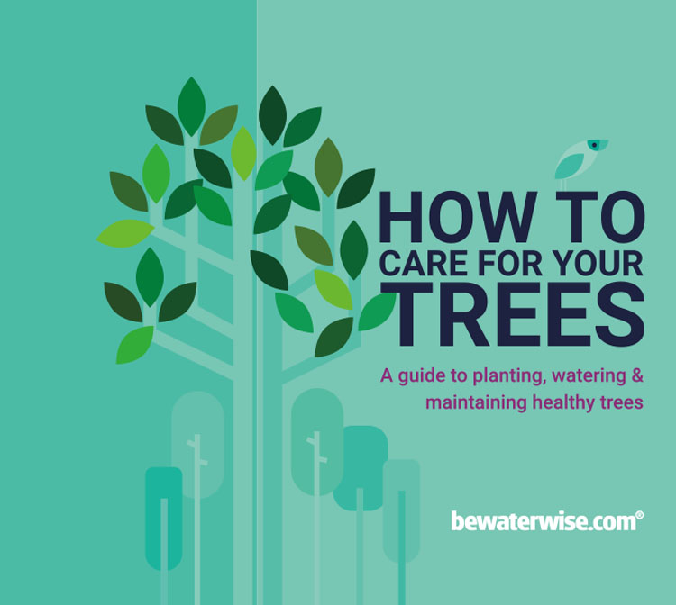 Front cover of our How To Care For Your Trees Guide